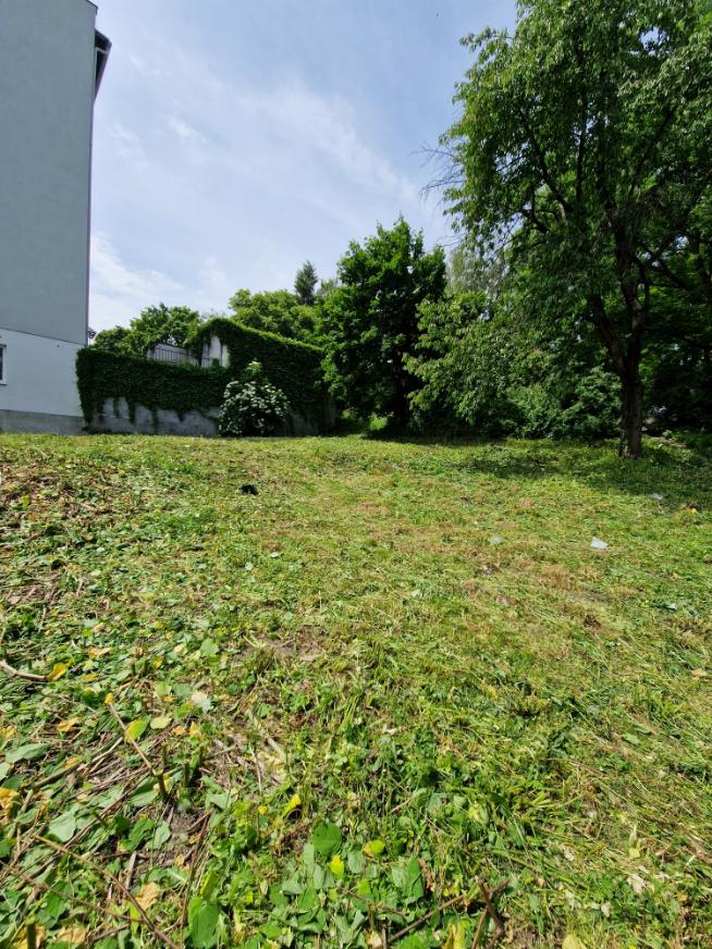 Sekání silně zarostlého pozemku Opava u penny